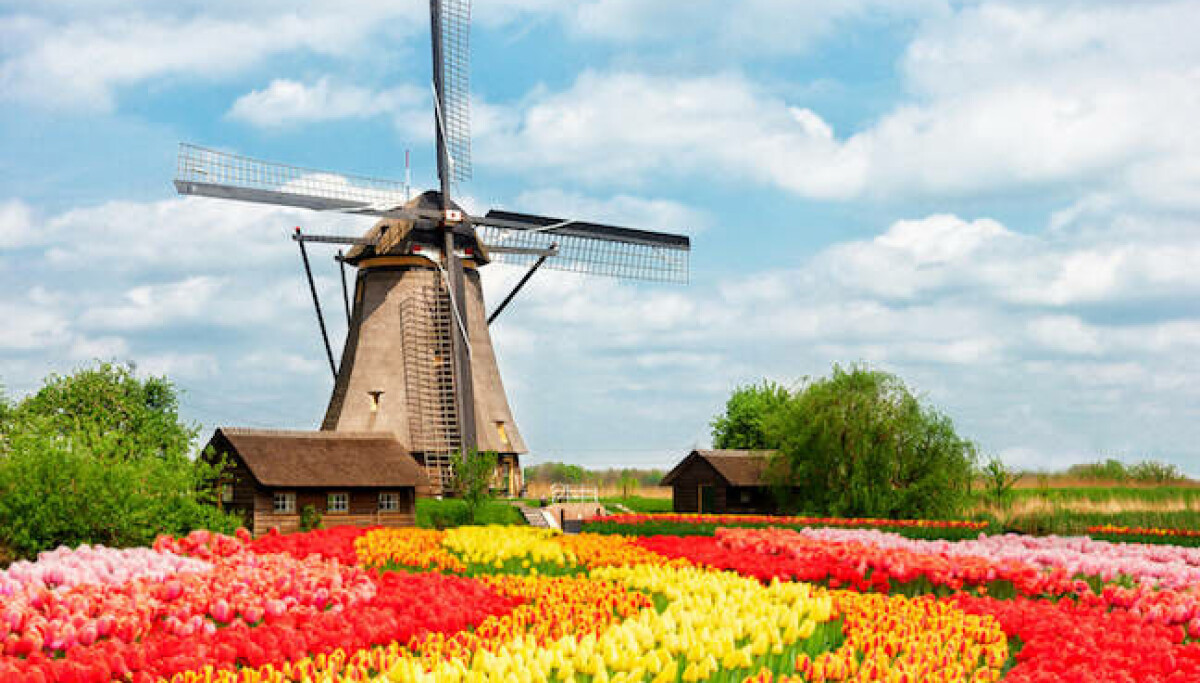 Dutch data watchdog caught up in Ivanti zero-day attacks